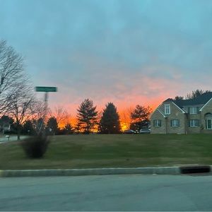 Meet your Posher, Riley